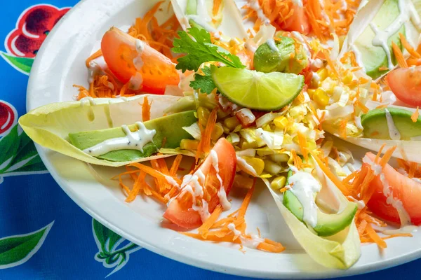 Primer Plano Ensalada Mexicana Fresca — Foto de Stock