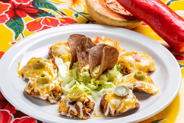 Macro Close Appetizing Mexican Chicken Nachos Melted Cheese Guacamole Dip — Stock Photo, Image