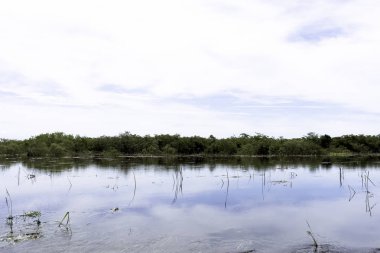 Küba bataklık - Yarımadası de Zapata Milli Parkı / Zapata bataklık, Küba