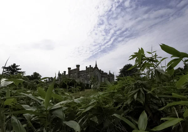 ブッシュ ウィズ シェフィールド パーク ハウスIn Background Uckfield United Kingdom July — ストック写真