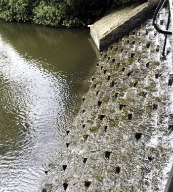 Sheffield Park cascade - resim Köprüsü - Uckfield, İngiltere