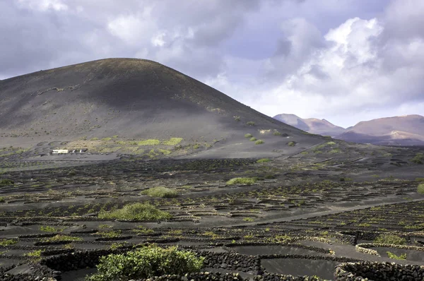 Valle Del Vino Geria Lanzarote Islas Canarias España — Foto de Stock