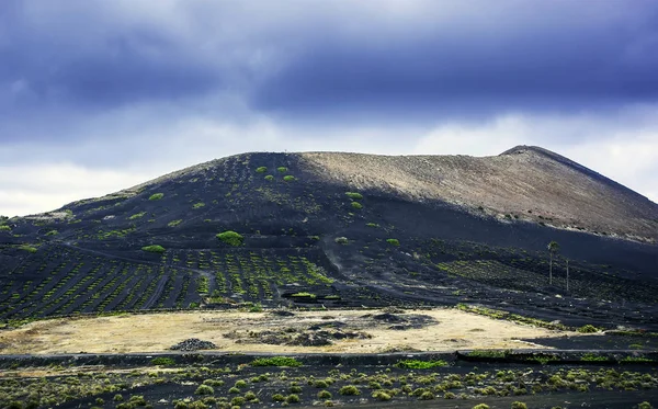 Valle Del Vino Geria Lanzarote Isole Canarie Spagna — Foto Stock