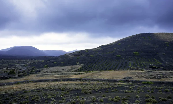 Wine Valley Geria Lanzarote Isole Canarie Spagna — Foto Stock