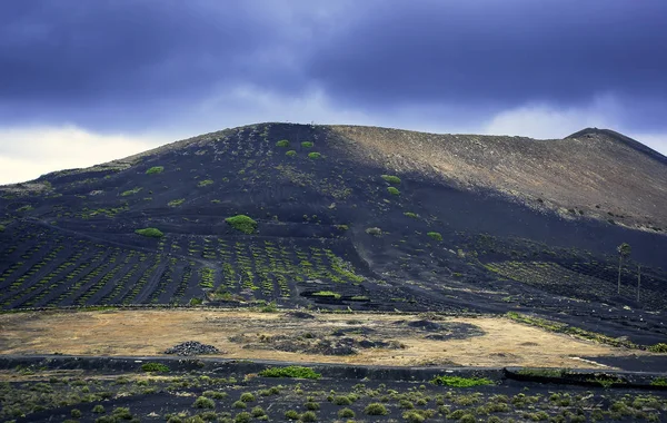 Wine Valley Geria Lanzarote Kanárské Ostrovy Španělsko — Stock fotografie
