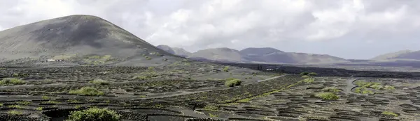 Geria Borvölgye Lanzarote Kanári Szigetek Spanyolország — Stock Fotó