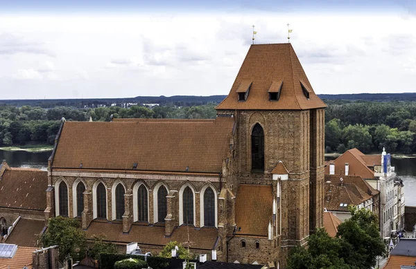 Église Saint Jean Baptiste Saint Jean Évangéliste Cathédrale Torun Pologne — Photo