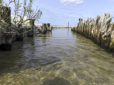 Stream vahşi orman - Slowinski Milli Parkı, Kaszuby, Pomorskie, Polonya
