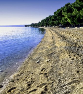 Adriyatik Denizi, plaj ve orman - Podgora, Makarska Riviera, Dalmaçya, Hırvatistan