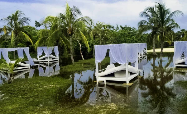 Parque Inundado Tumbonas Varadero Cuba Septiembre 2018 — Foto de Stock