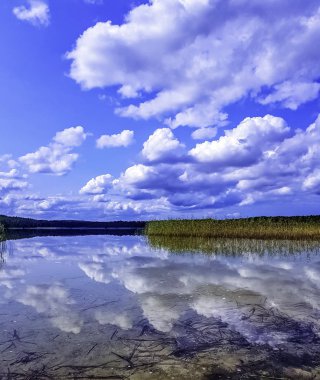 Lehçe doğa - görünümünü Choczewskie Gölü Choczewo, Pomerania, Kaszuby, Polonya