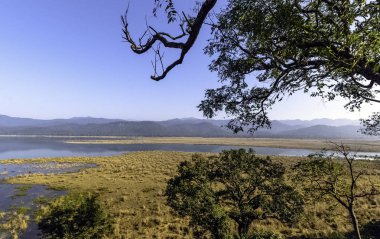Jim Corbett Milli Parkı, Hindistan: Kosi Nehri Panoraması