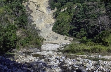 Hint orman - Jim Corbett Milli Parkı, Hindistan akışında
