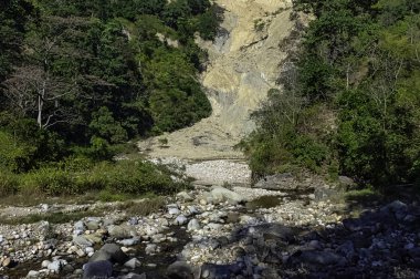 Hint orman - Jim Corbett Milli Parkı, Hindistan akışında