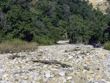 Hint orman - Jim Corbett Milli Parkı, Hindistan akışında