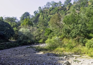 Hint orman - Jim Corbett Milli Parkı, Hindistan akışında