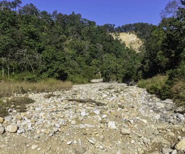 Hint orman - Jim Corbett Milli Parkı, Hindistan akışında
