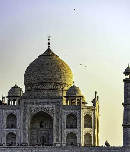 Корона Палаци Тадж Махал Місті Agra Уттар Прадеш Індія Грудня — стокове фото