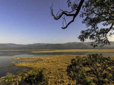 Jim Corbett Milli Parkı, Hindistan Ramganga Nehri Panoraması