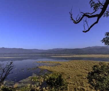 Jim Corbett Milli Parkı, Hindistan Ramganga Nehri Panoraması