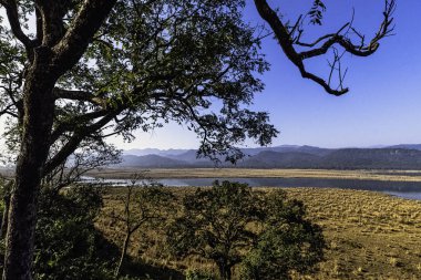 Jim Corbett Milli Parkı, Hindistan Ramganga Nehri Panoraması