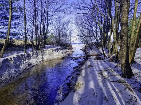 Bach Wilden Wald Winter Slowinski Nationalpark Pommern Polen — Stockfoto