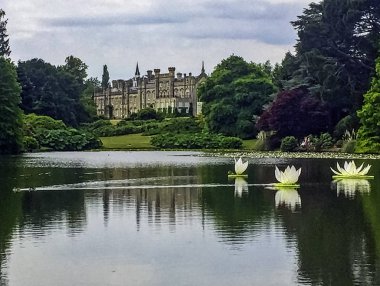 Bush ve Sheffield Park House arka planda - Uckfield, Birleşik Krallık 01 Temmuz 2018