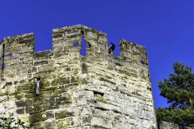 Warwick Şatosu - Warwick, Warwickshire, İngiltere 'de tavus kuşu muhafızlı ayı kulesi 21 Nisan 2019