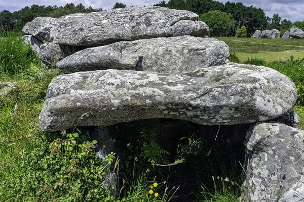 Alinhamentos Carnac Pedras Carnac Carnac Francia — Fotografia de Stock