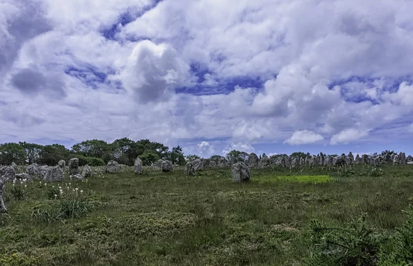 Alinhamentos Carnac Pedras Carnac Carnac Francia — Fotografia de Stock