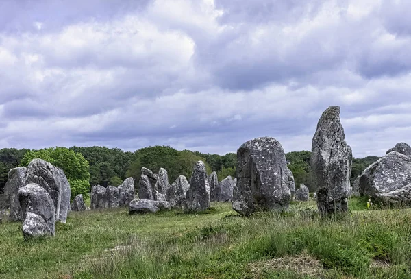 Alinhamentos Carnac Pedras Carnac Carnac Francia — Fotografia de Stock