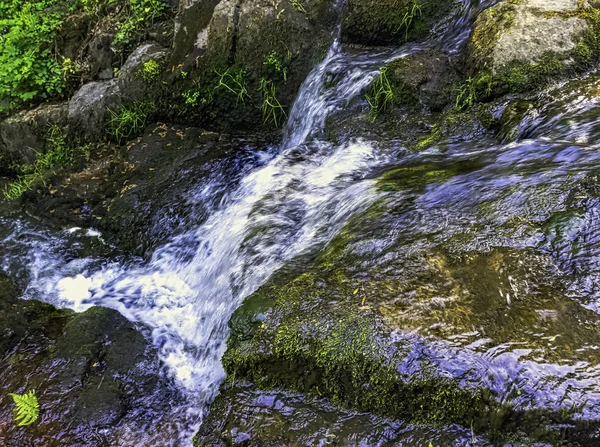 Petite Cascade Cascada Los Ríos Cance Canon Neufbourg Normandía Francia —  Fotos de Stock