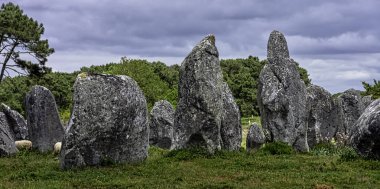 Müttefikler de Carnac - Carnac, Fransa 'da Carnac taşları