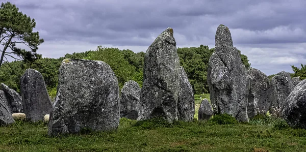 Alinhamentos Carnac Pedras Carnac Carnac Francia — Fotografia de Stock