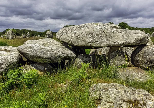 Alinhamentos Carnac Pedras Carnac Carnac Francia — Fotografia de Stock