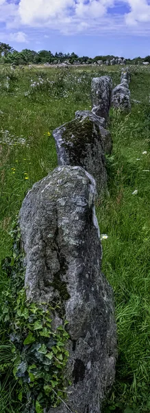 Alignements Carnac Carnac Stones Carnac France — Stock fotografie