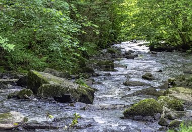 Cance / Canon nehri - Le Neufbourg, Normandiya, Fransa