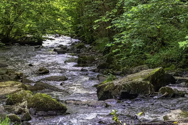 Cance Canon River Neufbourg Normandia França — Fotografia de Stock