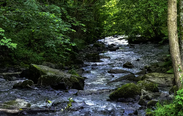 Cance Canon River Neufbourg Normandia Francia — Foto Stock