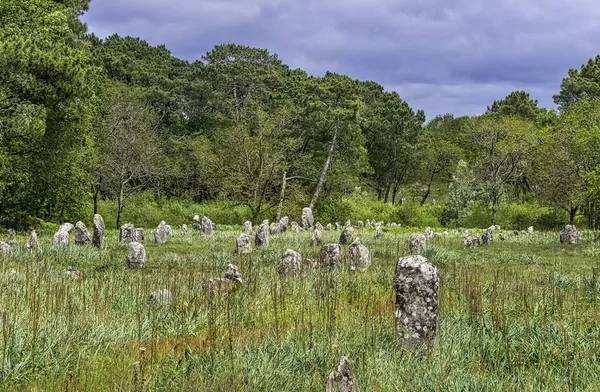 Alignements Carnac Carnac Stone Carnac France — 스톡 사진