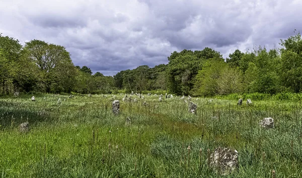 Alinhamentos Carnac Pedras Carnac Carnac Francia — Fotografia de Stock