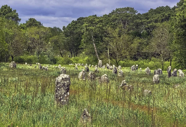 Alinhamentos Carnac Pedras Carnac Carnac Francia — Fotografia de Stock