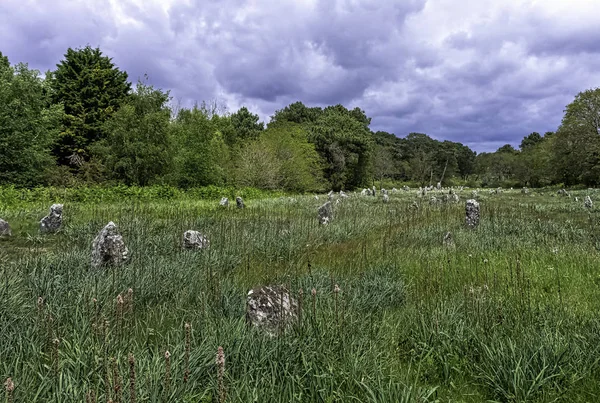 Alinhamentos Carnac Pedras Carnac Carnac Francia — Fotografia de Stock