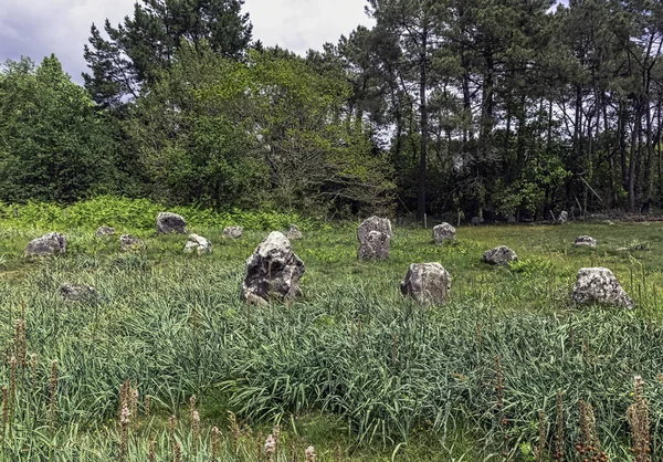 Alinhamentos Carnac Pedras Carnac Carnac Francia — Fotografia de Stock