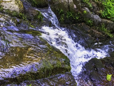La Petite Cascade - Cance ve Canon nehirlerinin Küçük Şelalesi - Le Neufbourg, Normandiya, Fransa