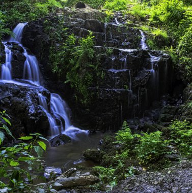 La Petite Cascade - Cance ve Canon nehirlerinin Küçük Şelalesi - Le Neufbourg, Normandiya, Fransa