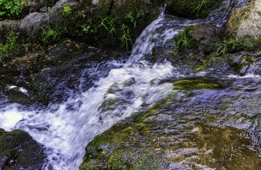 La Petite Cascade - Cance ve Canon nehirlerinin Küçük Şelalesi - Le Neufbourg, Normandiya, Fransa