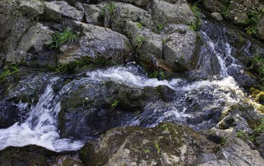 La Petite Cascade - Cance ve Canon nehirlerinin Küçük Şelalesi - Le Neufbourg, Normandiya, Fransa