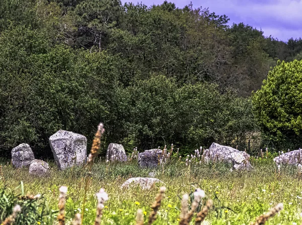 Alinhamentos Carnac Pedras Carnac Carnac Francia — Fotografia de Stock