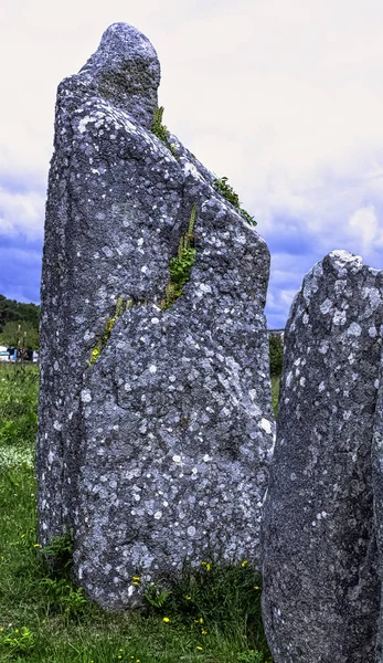 Alignements Carnac フランス カルナックのカルナック石 — ストック写真
